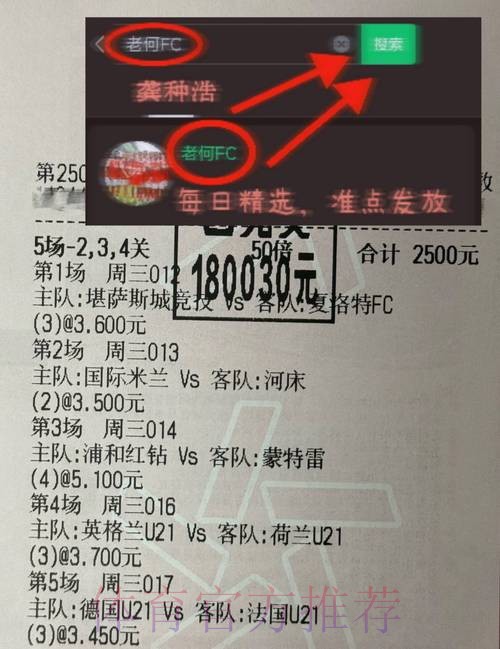 全面解析世界杯下注平台用户评价与推荐 全面解析世界杯下注平台用户评价与推荐